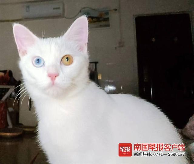 晚安十点(2022.10.20)丨就是要拍照记录啊!你的“糗”样,就是“铲屎官”爱的证明休闲区蓝鸢梦想 - Www.slyday.coM 晚安十点(2022.10.20)丨就是要拍照记录啊!你的“糗”样,就是“铲屎官”爱的证明休闲区蓝鸢梦想 - Www.slyday.coM