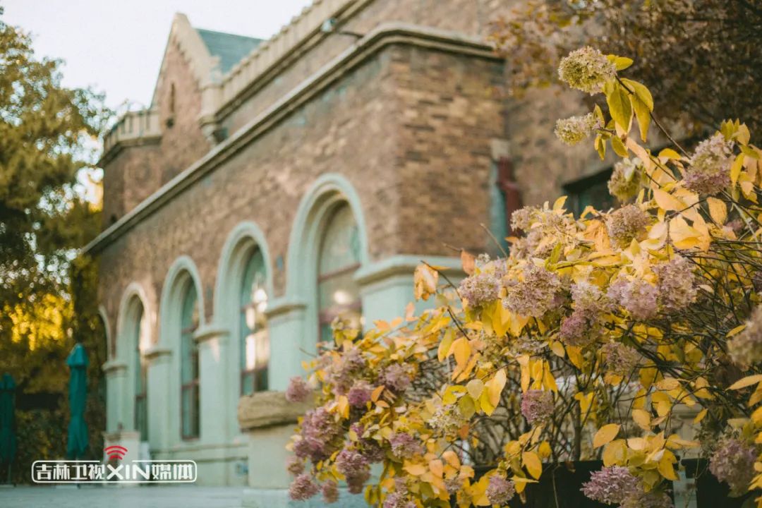 重走《人世间》的“秋”【三】——徜徉在秋日里 追忆在懵懂间休闲区蓝鸢梦想 - Www.slyday.coM 重走《人世间》的“秋”【三】——徜徉在秋日里 追忆在懵懂间休闲区蓝鸢梦想 - Www.slyday.coM