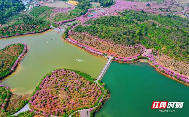 图看“非凡十年”|常游常宁,绘就文旅发展新画卷休闲区蓝鸢梦想 - Www.slyday.coM 图看“非凡十年”|常游常宁,绘就文旅发展新画卷休闲区蓝鸢梦想 - Www.slyday.coM