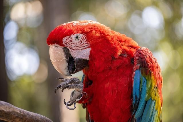 4575万像素的尼康Z7 II全画幅微单值得入手吗?休闲区蓝鸢梦想 - Www.slyday.coM 4575万像素的尼康Z7 II全画幅微单值得入手吗?休闲区蓝鸢梦想 - Www.slyday.coM