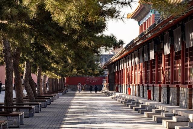 4575万像素的尼康Z7 II全画幅微单值得入手吗?休闲区蓝鸢梦想 - Www.slyday.coM 4575万像素的尼康Z7 II全画幅微单值得入手吗?休闲区蓝鸢梦想 - Www.slyday.coM