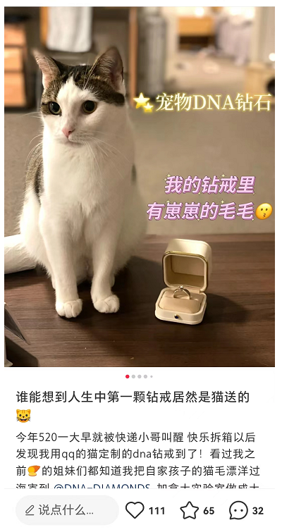 不结婚的年轻人,也被钻石盯上了休闲区蓝鸢梦想 - Www.slyday.coM 不结婚的年轻人,也被钻石盯上了休闲区蓝鸢梦想 - Www.slyday.coM