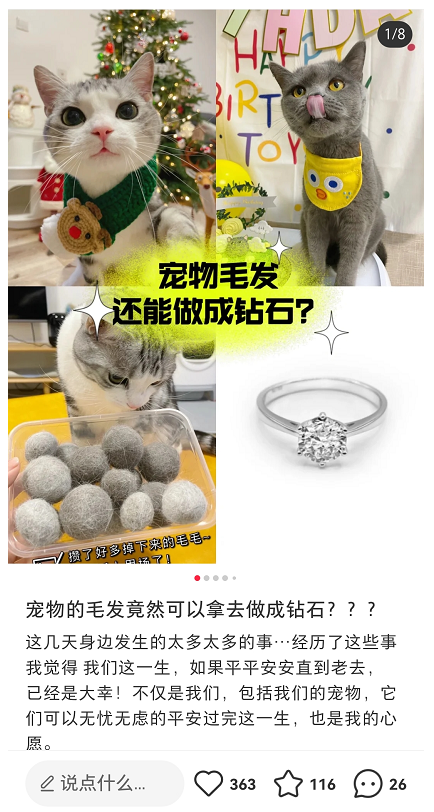 不结婚的年轻人,也被钻石盯上了休闲区蓝鸢梦想 - Www.slyday.coM 不结婚的年轻人,也被钻石盯上了休闲区蓝鸢梦想 - Www.slyday.coM