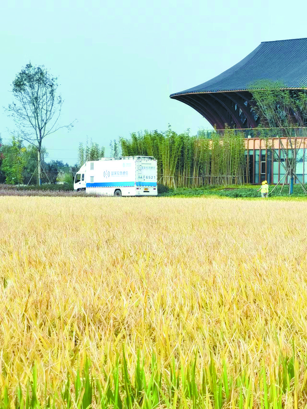 引领十年通信巨变 成都移动筑牢数字经济发展底座休闲区蓝鸢梦想 - Www.slyday.coM 引领十年通信巨变 成都移动筑牢数字经济发展底座休闲区蓝鸢梦想 - Www.slyday.coM