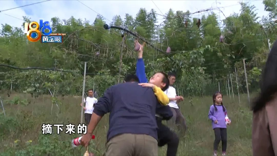 90后姑娘当“农场主” 每天都有水果摘休闲区蓝鸢梦想 - Www.slyday.coM 90后姑娘当“农场主” 每天都有水果摘休闲区蓝鸢梦想 - Www.slyday.coM