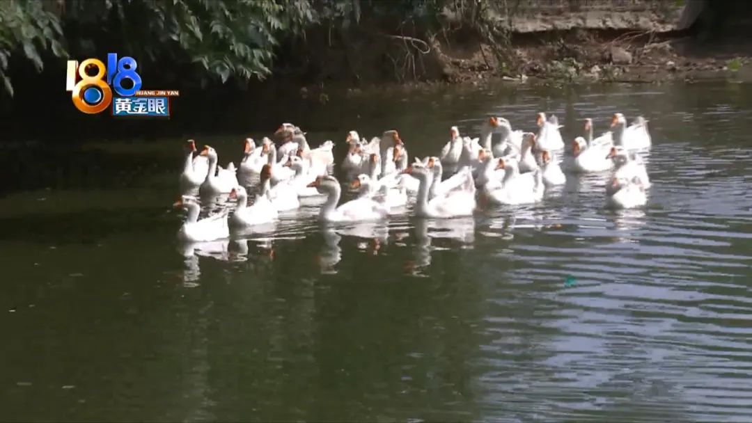 90后姑娘当“农场主” 每天都有水果摘休闲区蓝鸢梦想 - Www.slyday.coM 90后姑娘当“农场主” 每天都有水果摘休闲区蓝鸢梦想 - Www.slyday.coM