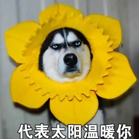 还没有凉够,气温再上30°C!大榄江的鱼鳞云惊艳了!钦州下次降雨可能要等到…休闲区蓝鸢梦想 - Www.slyday.coM 还没有凉够,气温再上30°C!大榄江的鱼鳞云惊艳了!钦州下次降雨可能要等到…休闲区蓝鸢梦想 - Www.slyday.coM