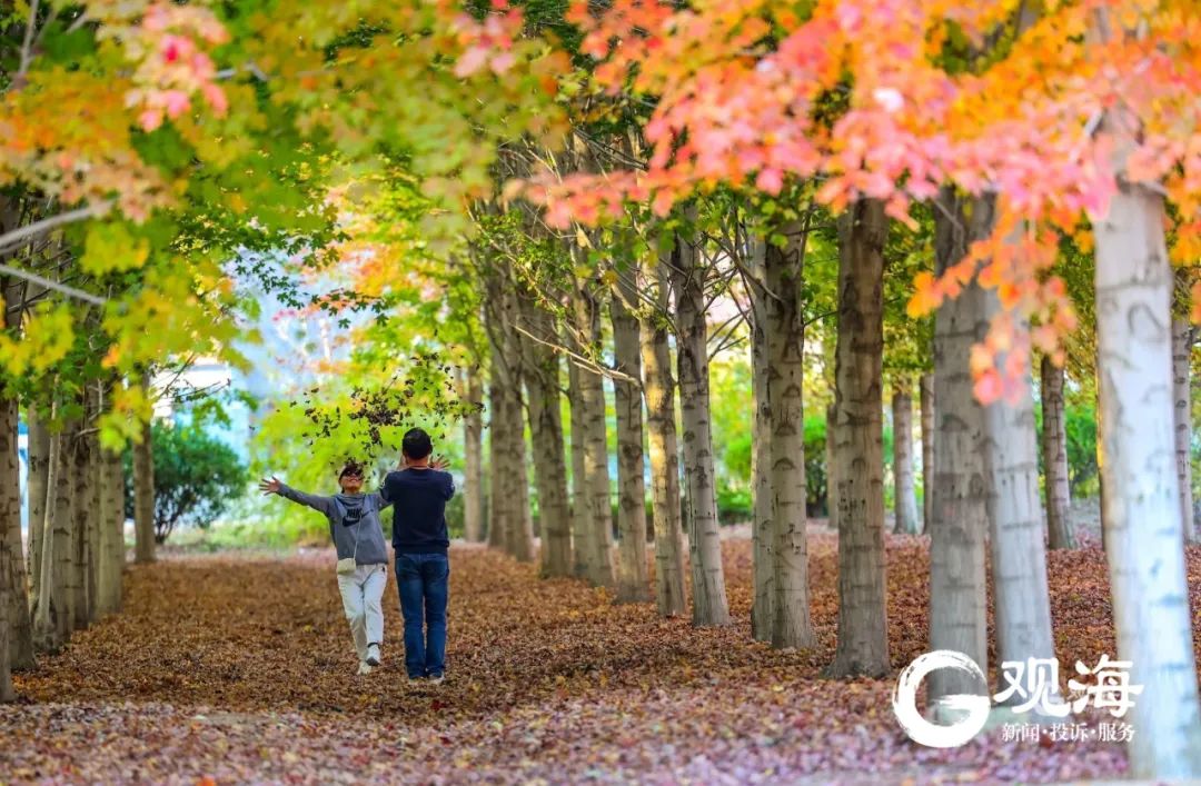 冷空气又要来!青岛这些小屋开放,也太暖了→休闲区蓝鸢梦想 - Www.slyday.coM 冷空气又要来!青岛这些小屋开放,也太暖了→休闲区蓝鸢梦想 - Www.slyday.coM