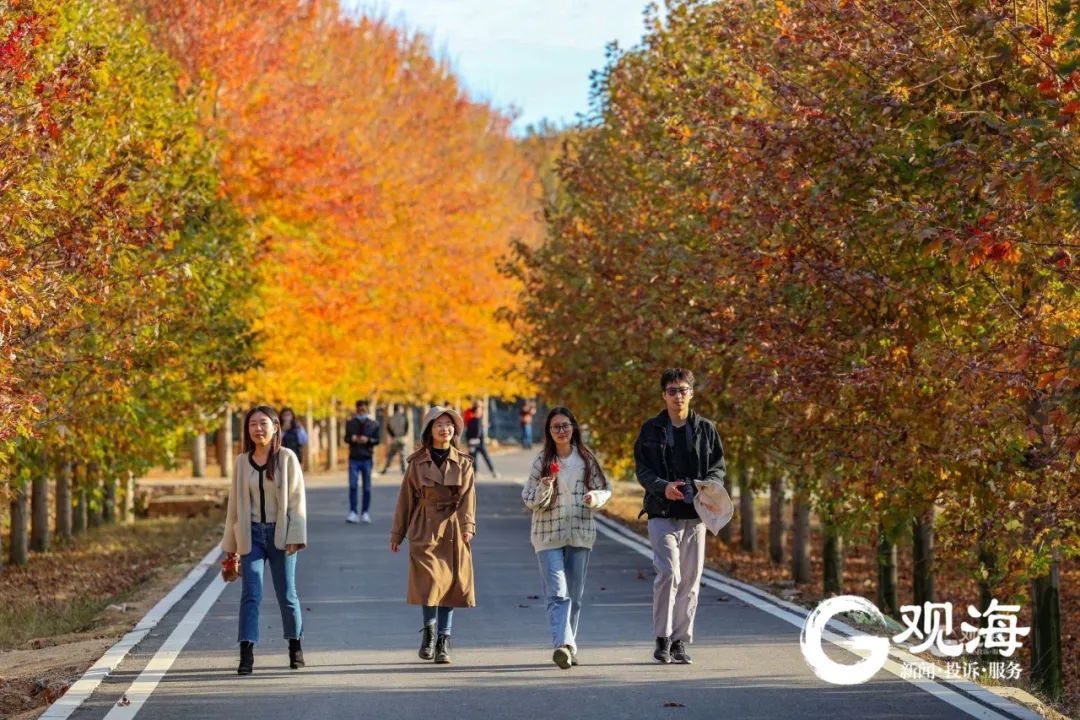 冷空气又要来!青岛这些小屋开放,也太暖了→休闲区蓝鸢梦想 - Www.slyday.coM 冷空气又要来!青岛这些小屋开放,也太暖了→休闲区蓝鸢梦想 - Www.slyday.coM