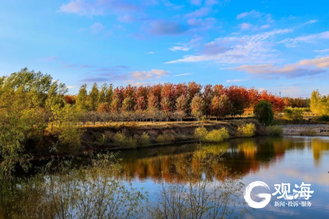 冷空气又要来!青岛这些小屋开放,也太暖了→休闲区蓝鸢梦想 - Www.slyday.coM 冷空气又要来!青岛这些小屋开放,也太暖了→休闲区蓝鸢梦想 - Www.slyday.coM