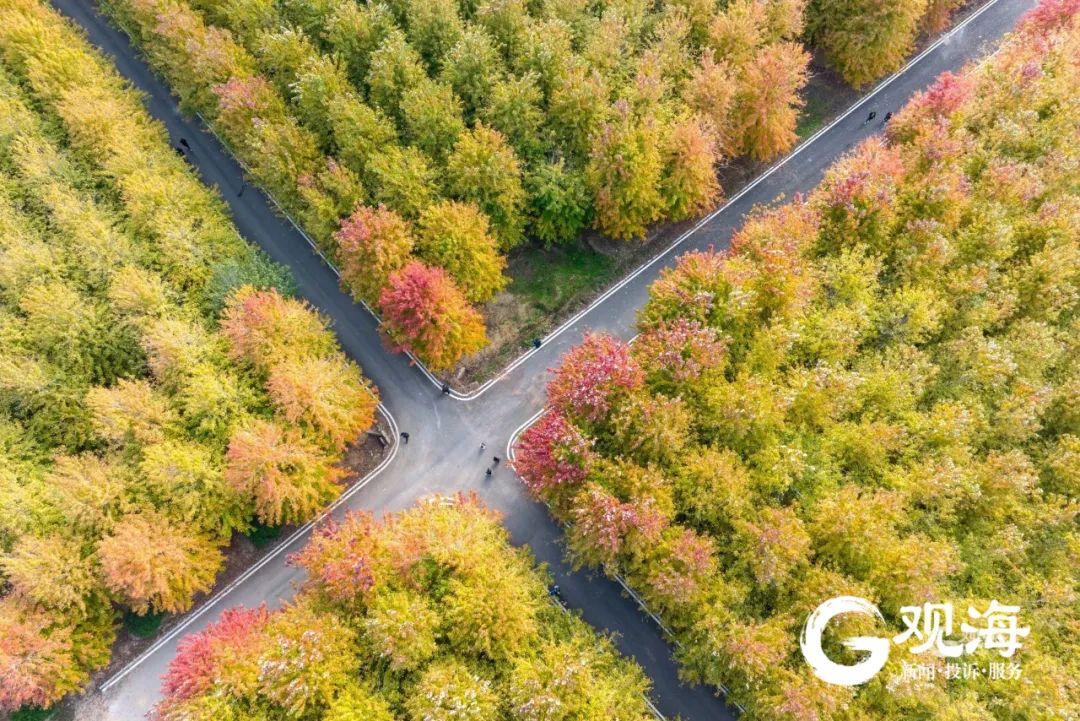 冷空气又要来!青岛这些小屋开放,也太暖了→休闲区蓝鸢梦想 - Www.slyday.coM 冷空气又要来!青岛这些小屋开放,也太暖了→休闲区蓝鸢梦想 - Www.slyday.coM