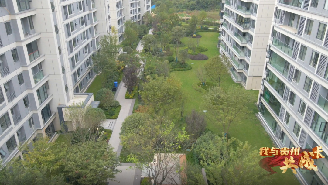 看书、养花、撸猫、晒太阳,田园牧歌式的理想生活,在这里→休闲区蓝鸢梦想 - Www.slyday.coM 看书、养花、撸猫、晒太阳,田园牧歌式的理想生活,在这里→休闲区蓝鸢梦想 - Www.slyday.coM