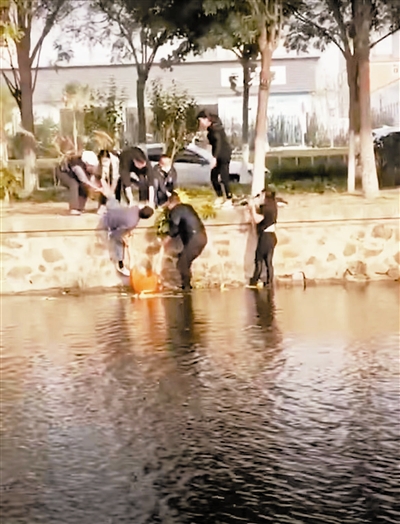 成都供卵费用（“碰到这样的事，都会伸出援手”）