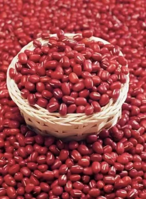 霜降已至,照顾好自己,更要照顾好你的胃!休闲区蓝鸢梦想 - Www.slyday.coM 霜降已至,照顾好自己,更要照顾好你的胃!休闲区蓝鸢梦想 - Www.slyday.coM