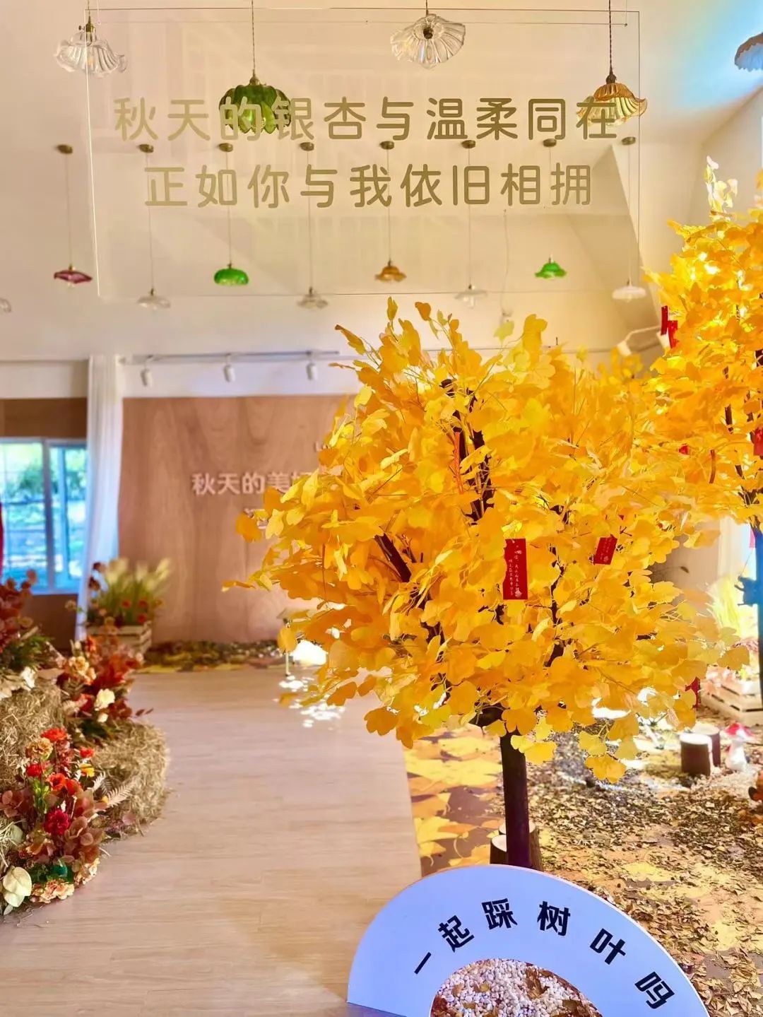 太好看了!青岛这里竟然有个这么浪漫的地方......休闲区蓝鸢梦想 - Www.slyday.coM 太好看了!青岛这里竟然有个这么浪漫的地方......休闲区蓝鸢梦想 - Www.slyday.coM