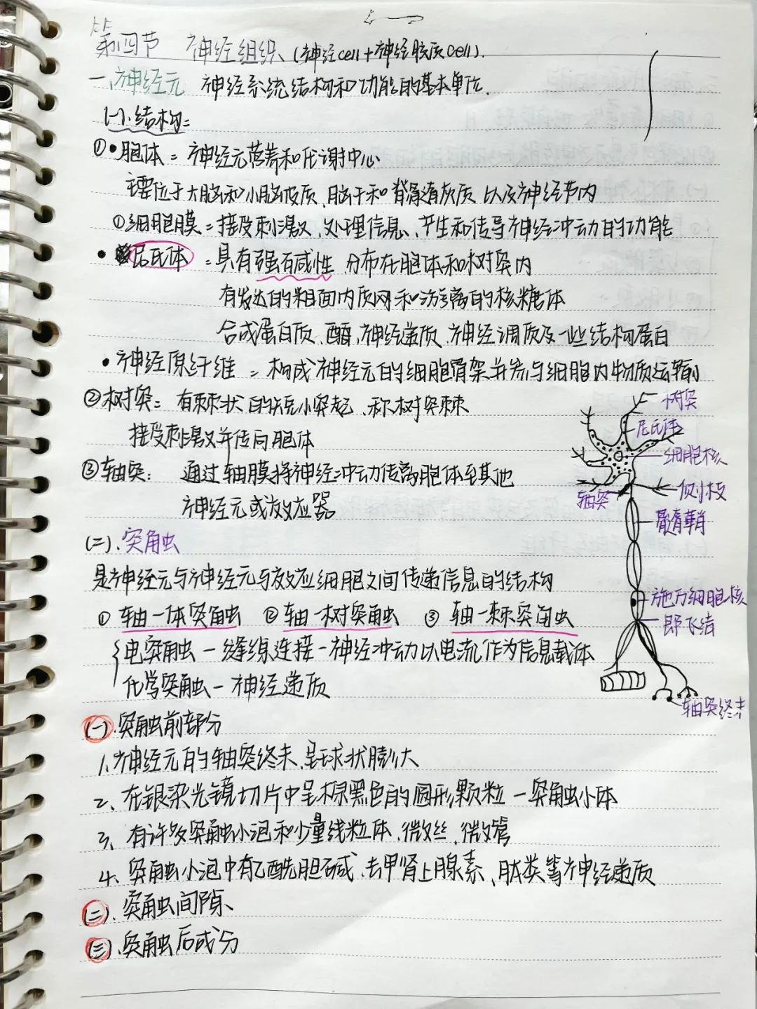 揭秘!医学生的笔记原来还可以这么记!休闲区蓝鸢梦想 - Www.slyday.coM 揭秘!医学生的笔记原来还可以这么记!休闲区蓝鸢梦想 - Www.slyday.coM