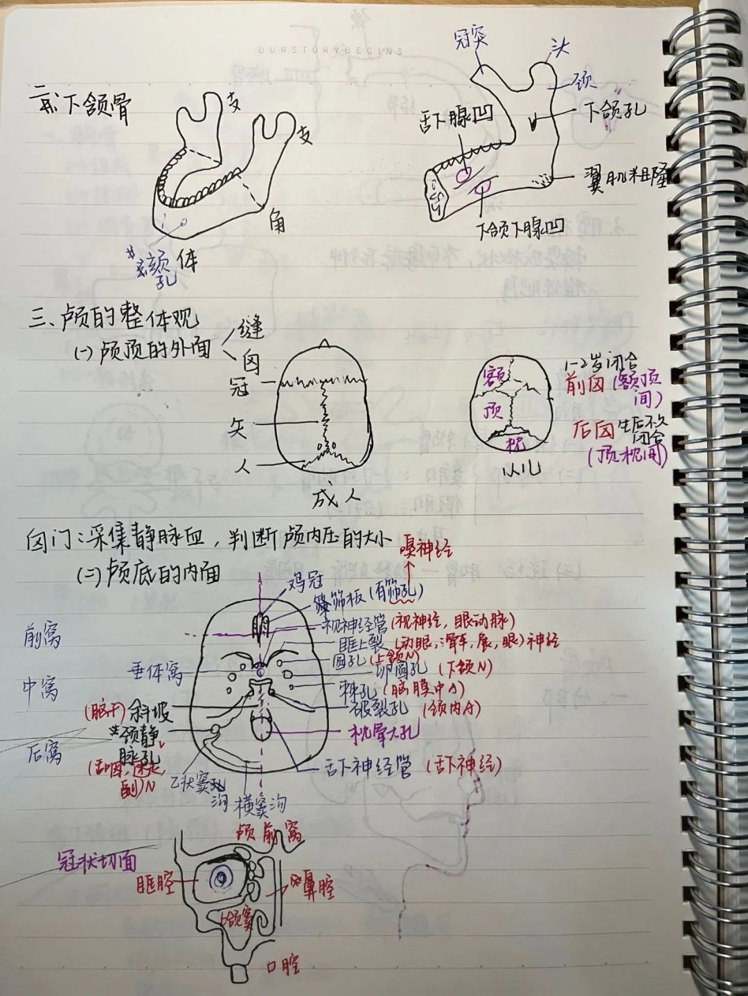揭秘!医学生的笔记原来还可以这么记!休闲区蓝鸢梦想 - Www.slyday.coM 揭秘!医学生的笔记原来还可以这么记!休闲区蓝鸢梦想 - Www.slyday.coM