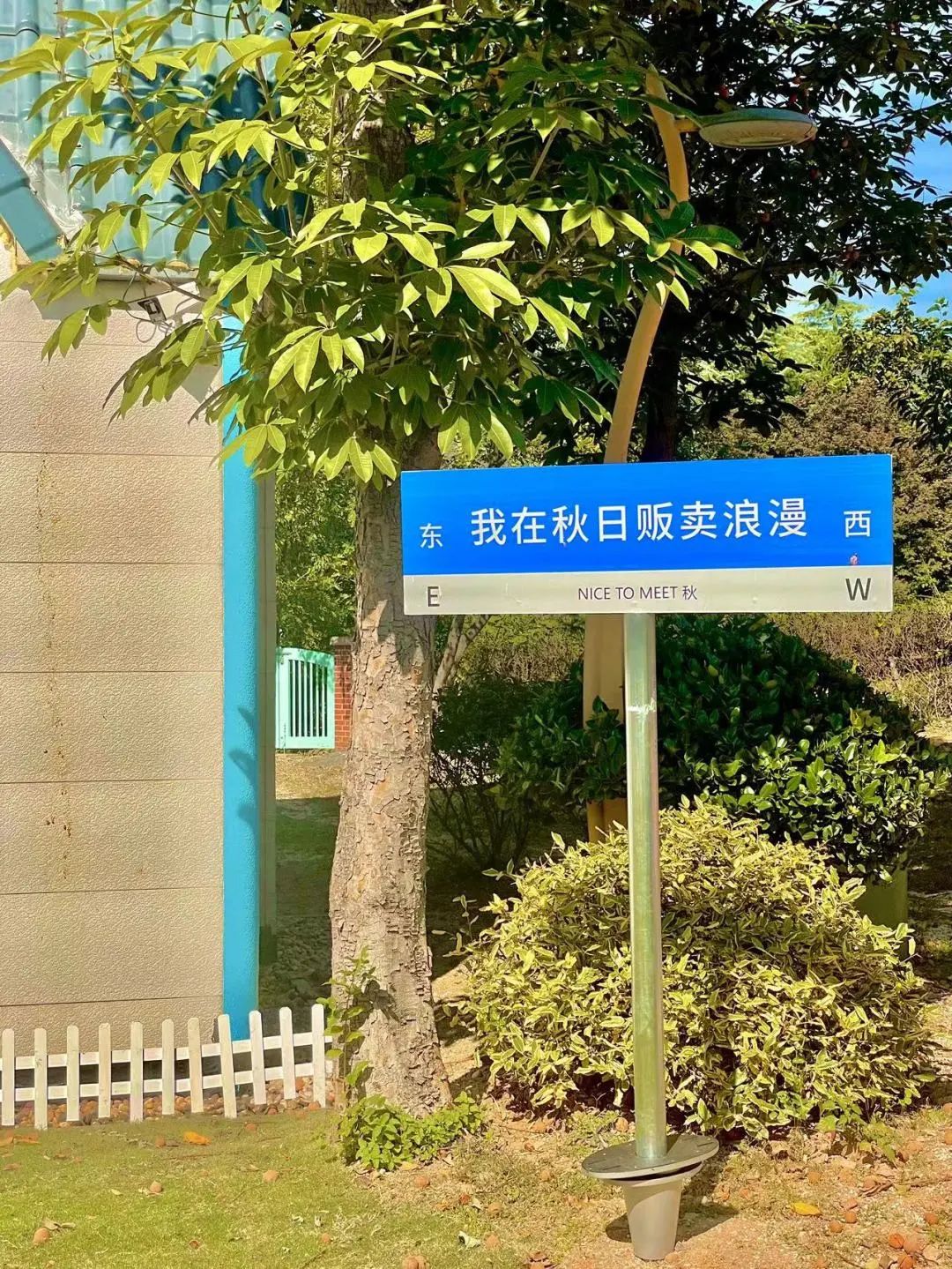 太好看了!青岛这里竟然有个这么浪漫的地方......休闲区蓝鸢梦想 - Www.slyday.coM 太好看了!青岛这里竟然有个这么浪漫的地方......休闲区蓝鸢梦想 - Www.slyday.coM