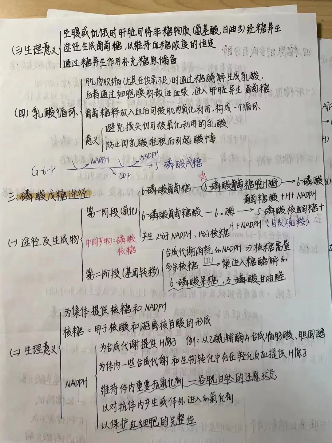 揭秘!医学生的笔记原来还可以这么记!休闲区蓝鸢梦想 - Www.slyday.coM 揭秘!医学生的笔记原来还可以这么记!休闲区蓝鸢梦想 - Www.slyday.coM