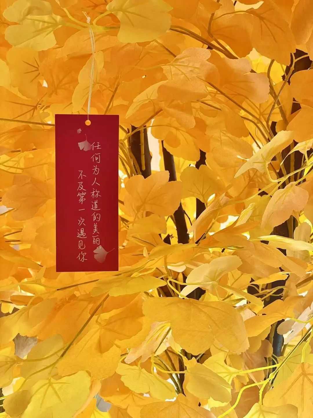 太好看了!青岛这里竟然有个这么浪漫的地方......休闲区蓝鸢梦想 - Www.slyday.coM 太好看了!青岛这里竟然有个这么浪漫的地方......休闲区蓝鸢梦想 - Www.slyday.coM