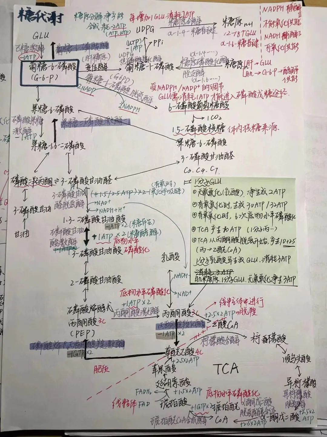 揭秘!医学生的笔记原来还可以这么记!休闲区蓝鸢梦想 - Www.slyday.coM 揭秘!医学生的笔记原来还可以这么记!休闲区蓝鸢梦想 - Www.slyday.coM
