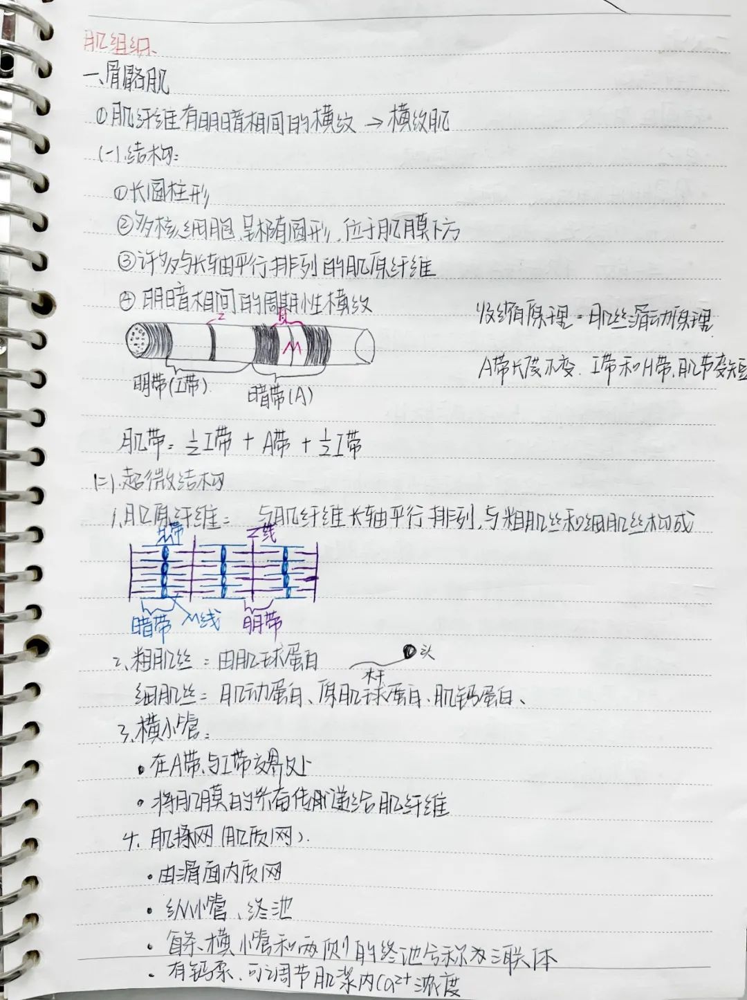 揭秘!医学生的笔记原来还可以这么记!休闲区蓝鸢梦想 - Www.slyday.coM 揭秘!医学生的笔记原来还可以这么记!休闲区蓝鸢梦想 - Www.slyday.coM