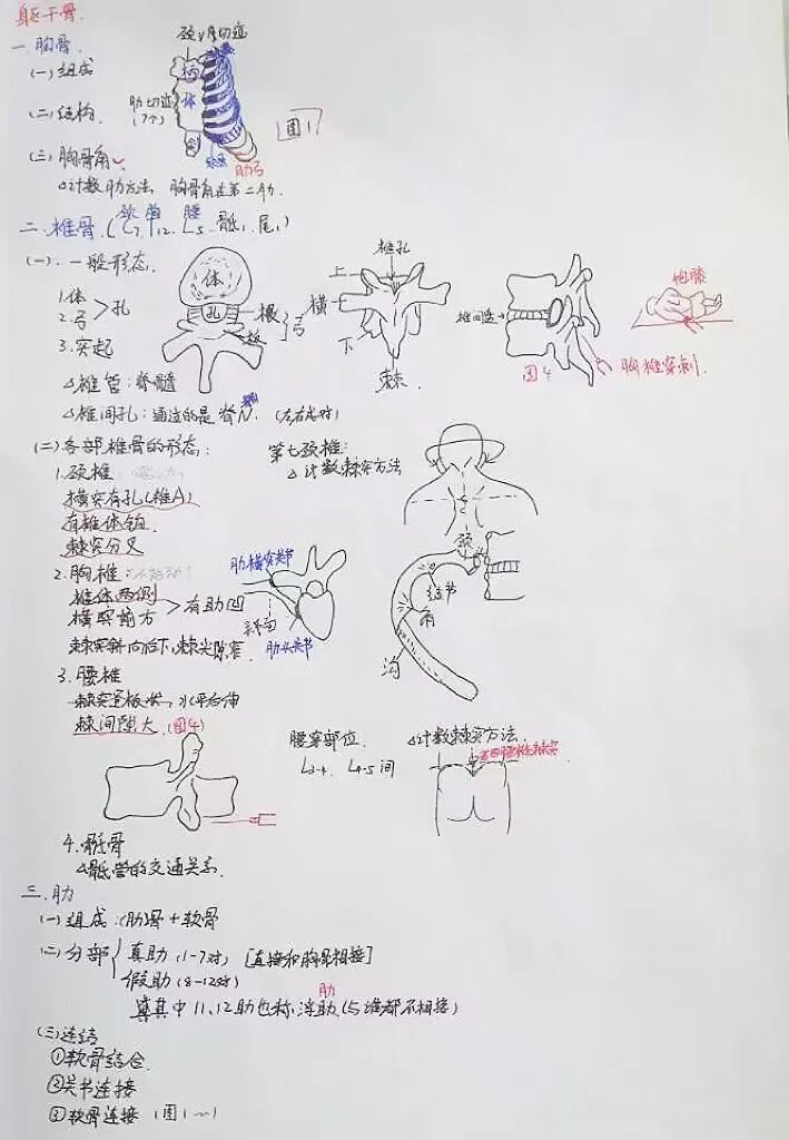 揭秘!医学生的笔记原来还可以这么记!休闲区蓝鸢梦想 - Www.slyday.coM 揭秘!医学生的笔记原来还可以这么记!休闲区蓝鸢梦想 - Www.slyday.coM