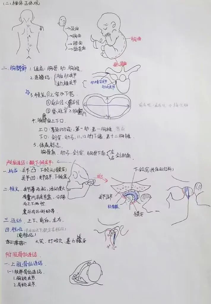 揭秘!医学生的笔记原来还可以这么记!休闲区蓝鸢梦想 - Www.slyday.coM 揭秘!医学生的笔记原来还可以这么记!休闲区蓝鸢梦想 - Www.slyday.coM