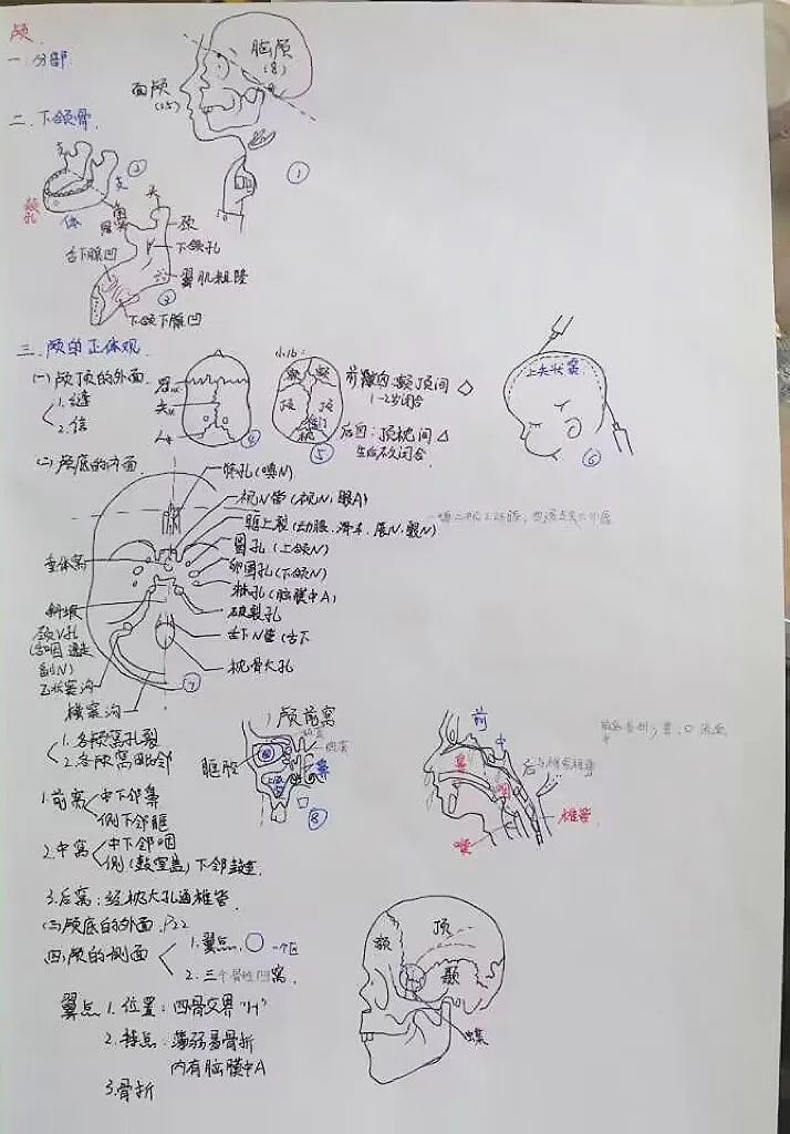 揭秘!医学生的笔记原来还可以这么记!休闲区蓝鸢梦想 - Www.slyday.coM 揭秘!医学生的笔记原来还可以这么记!休闲区蓝鸢梦想 - Www.slyday.coM