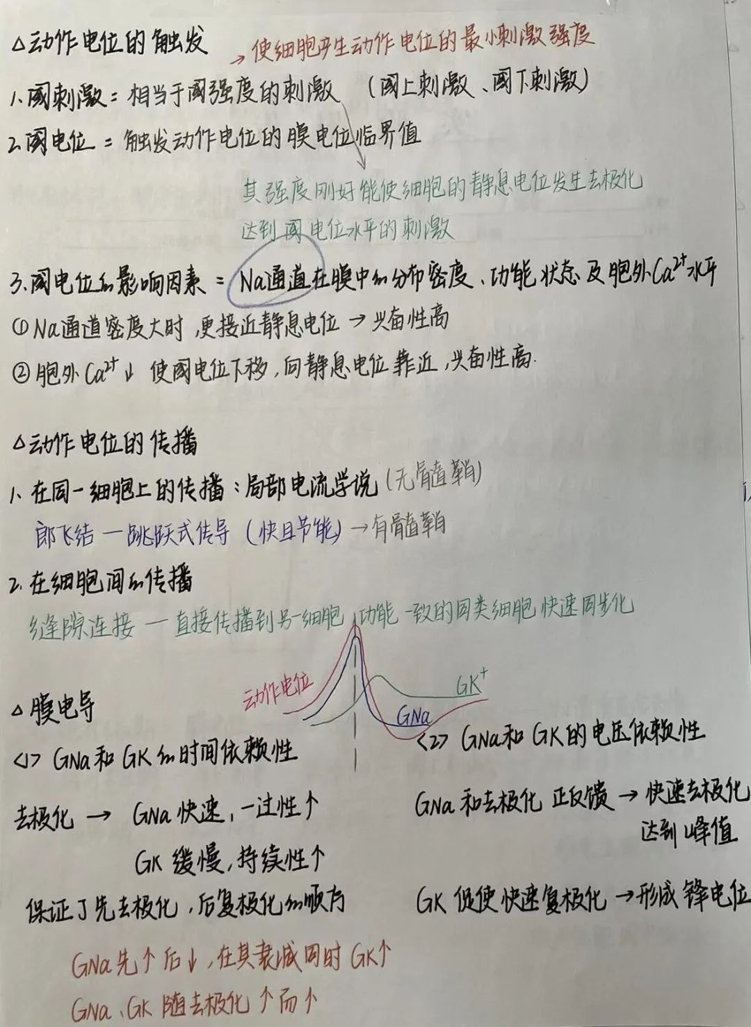 揭秘!医学生的笔记原来还可以这么记!休闲区蓝鸢梦想 - Www.slyday.coM 揭秘!医学生的笔记原来还可以这么记!休闲区蓝鸢梦想 - Www.slyday.coM
