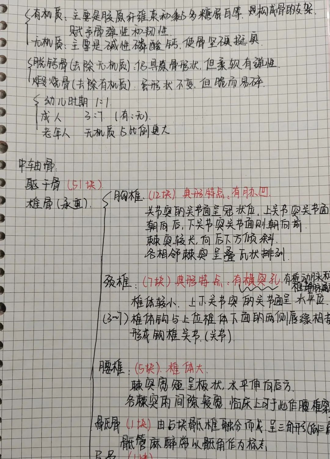 揭秘!医学生的笔记原来还可以这么记!休闲区蓝鸢梦想 - Www.slyday.coM 揭秘!医学生的笔记原来还可以这么记!休闲区蓝鸢梦想 - Www.slyday.coM