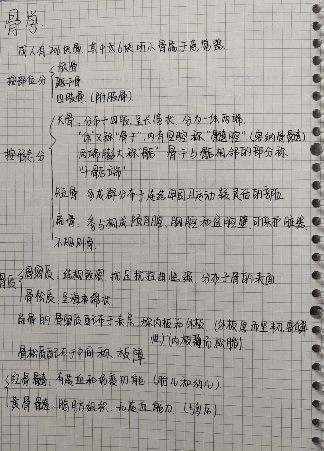 揭秘!医学生的笔记原来还可以这么记!休闲区蓝鸢梦想 - Www.slyday.coM 揭秘!医学生的笔记原来还可以这么记!休闲区蓝鸢梦想 - Www.slyday.coM