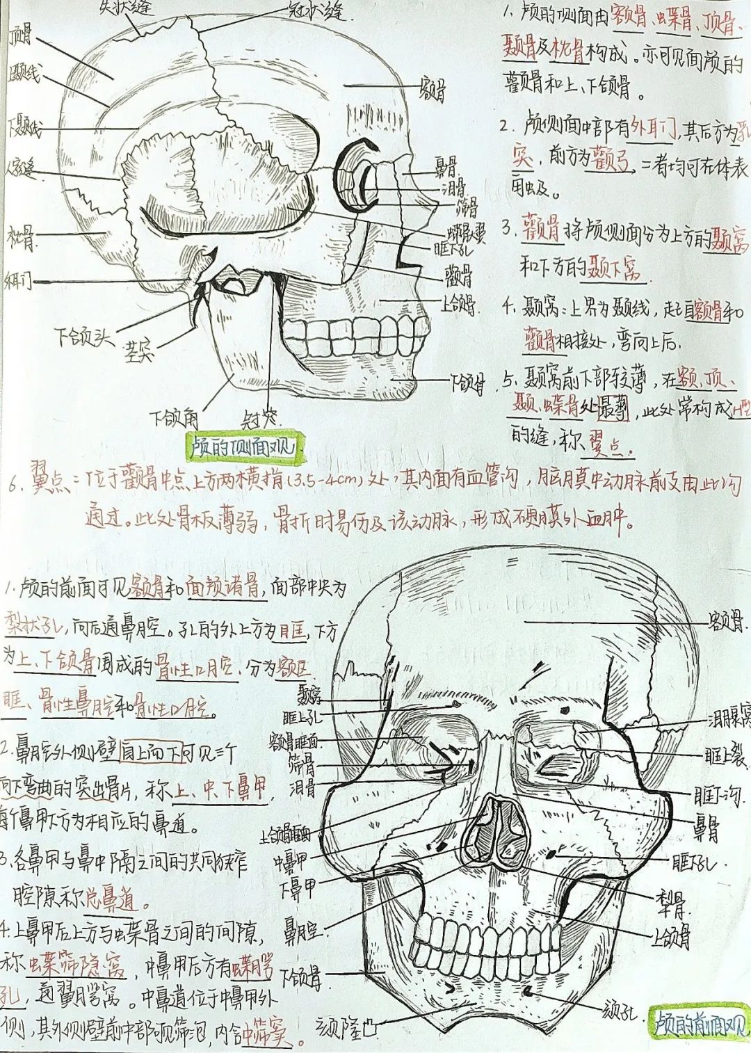 揭秘!医学生的笔记原来还可以这么记!休闲区蓝鸢梦想 - Www.slyday.coM 揭秘!医学生的笔记原来还可以这么记!休闲区蓝鸢梦想 - Www.slyday.coM
