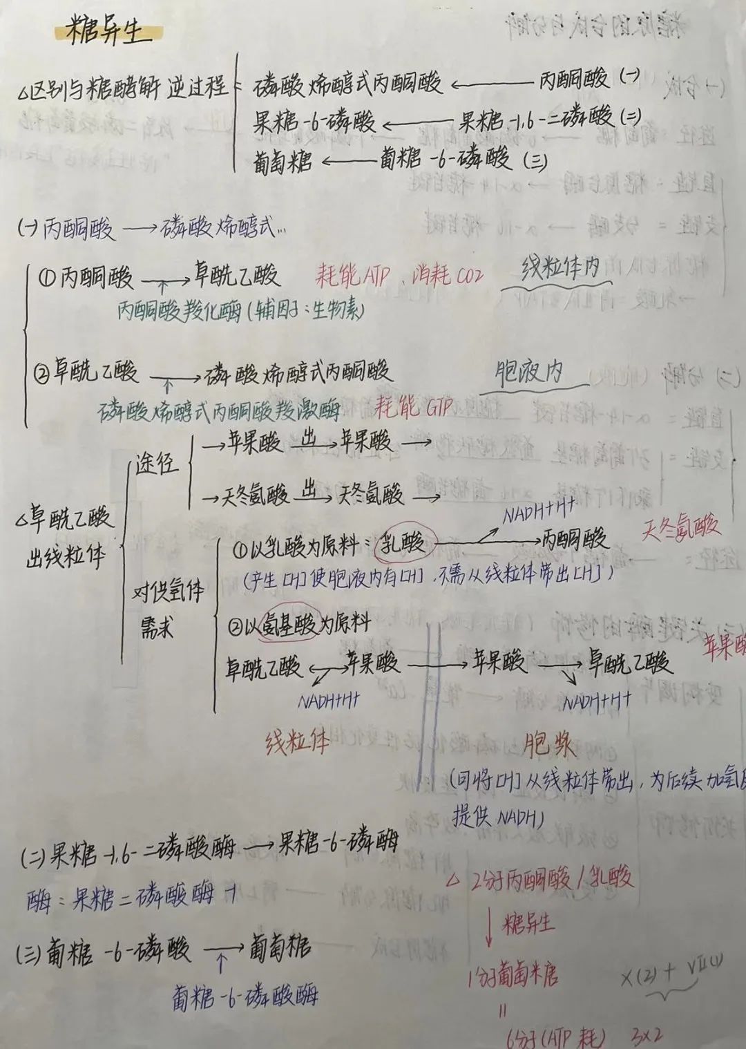 揭秘!医学生的笔记原来还可以这么记!休闲区蓝鸢梦想 - Www.slyday.coM 揭秘!医学生的笔记原来还可以这么记!休闲区蓝鸢梦想 - Www.slyday.coM