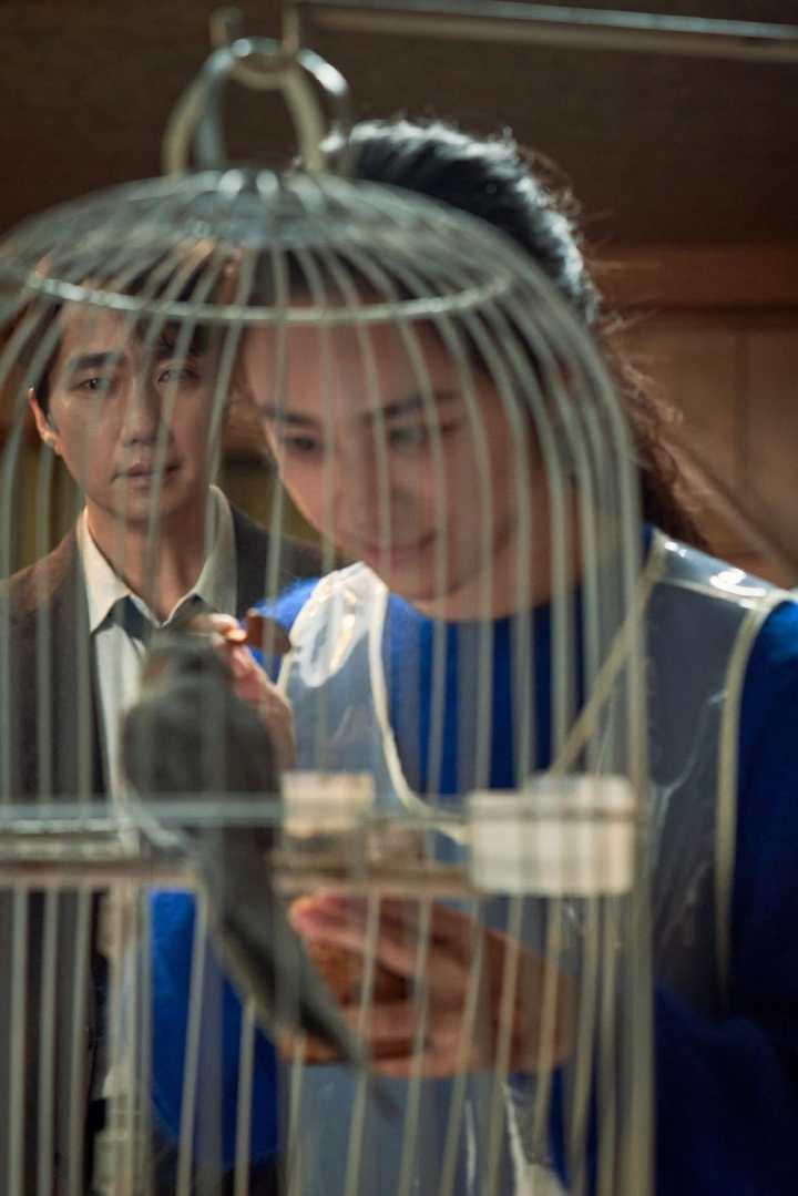 赢麻了!汤唯凭《分手的决心》韩国颁奖季三封最佳女主角,还要冲奥斯卡休闲区蓝鸢梦想 - Www.slyday.coM 赢麻了!汤唯凭《分手的决心》韩国颁奖季三封最佳女主角,还要冲奥斯卡休闲区蓝鸢梦想 - Www.slyday.coM