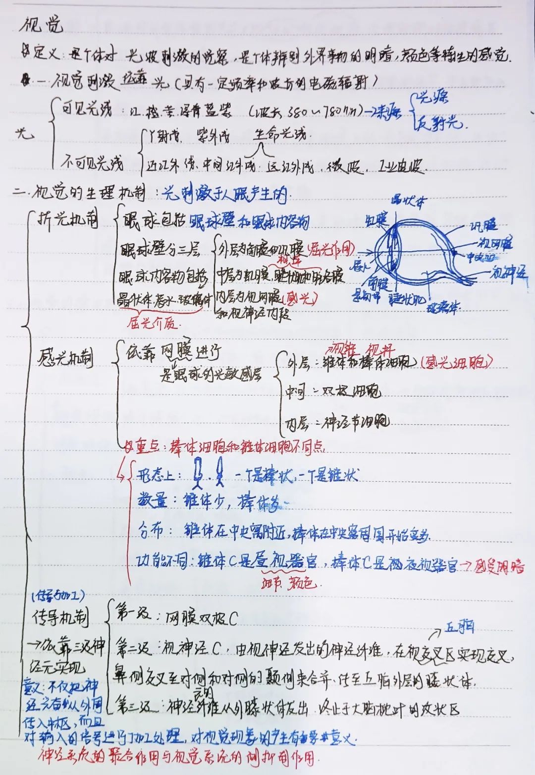 揭秘!医学生的笔记原来还可以这么记!休闲区蓝鸢梦想 - Www.slyday.coM 揭秘!医学生的笔记原来还可以这么记!休闲区蓝鸢梦想 - Www.slyday.coM