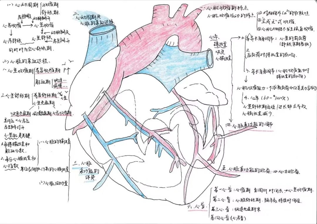 揭秘!医学生的笔记原来还可以这么记!休闲区蓝鸢梦想 - Www.slyday.coM 揭秘!医学生的笔记原来还可以这么记!休闲区蓝鸢梦想 - Www.slyday.coM