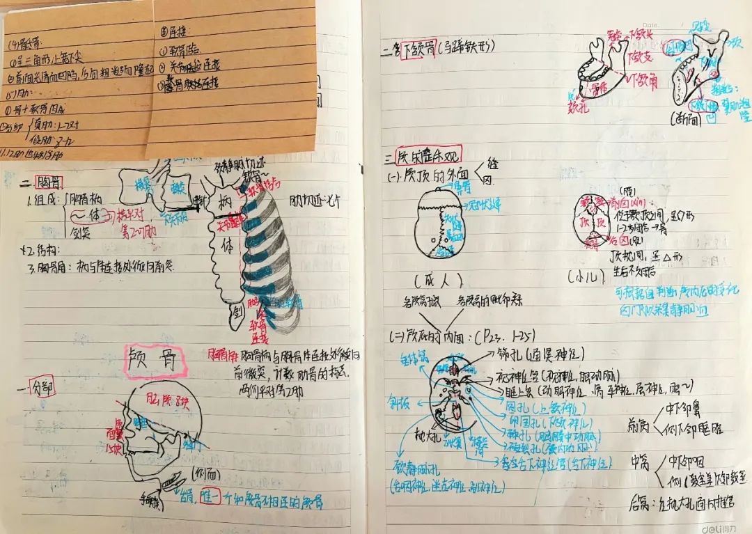揭秘!医学生的笔记原来还可以这么记!休闲区蓝鸢梦想 - Www.slyday.coM 揭秘!医学生的笔记原来还可以这么记!休闲区蓝鸢梦想 - Www.slyday.coM
