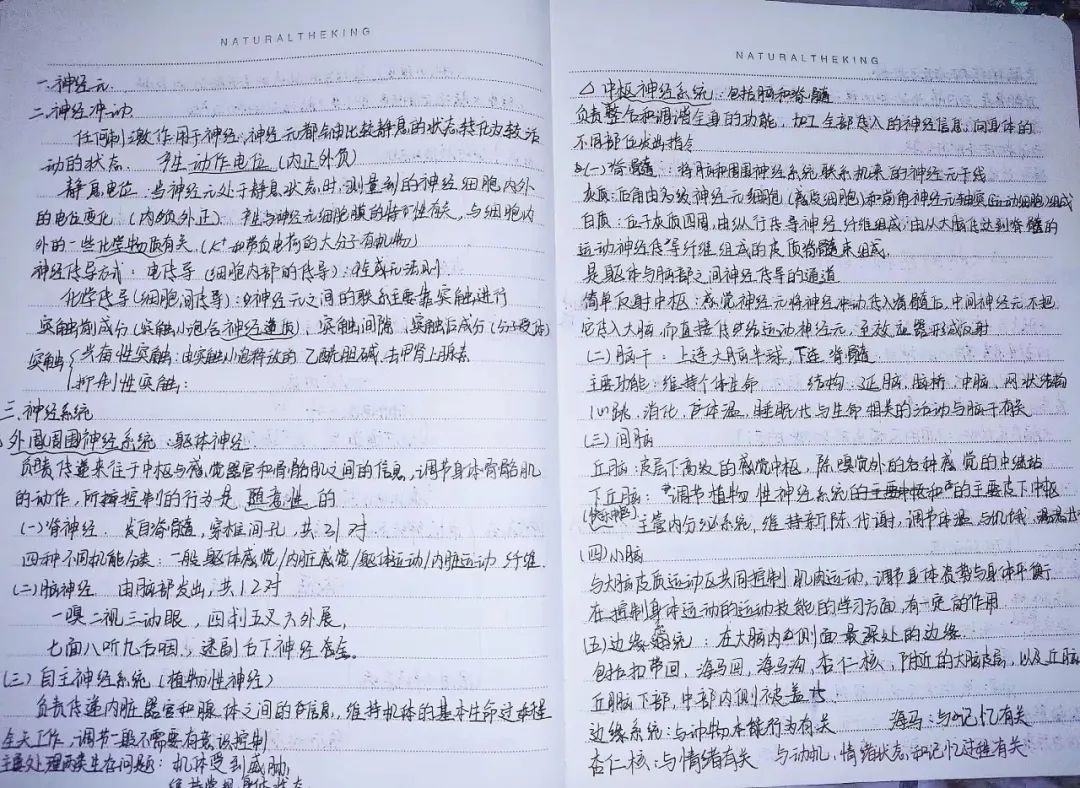 揭秘!医学生的笔记原来还可以这么记!休闲区蓝鸢梦想 - Www.slyday.coM 揭秘!医学生的笔记原来还可以这么记!休闲区蓝鸢梦想 - Www.slyday.coM