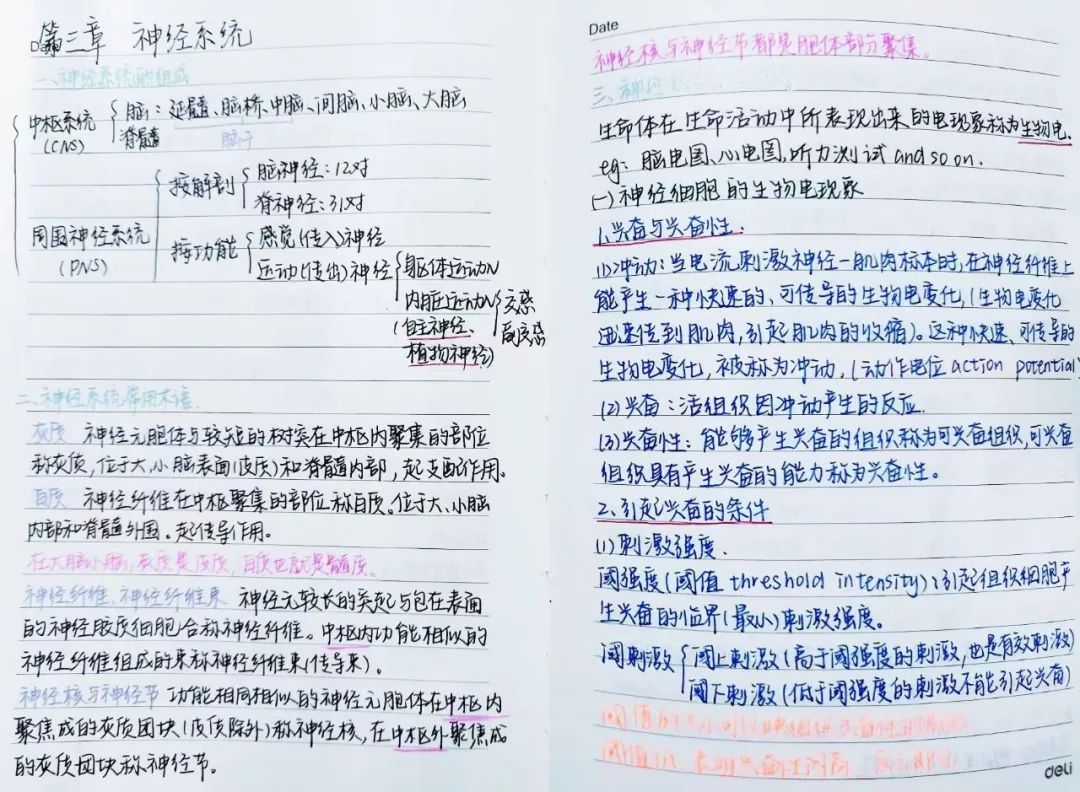 揭秘!医学生的笔记原来还可以这么记!休闲区蓝鸢梦想 - Www.slyday.coM 揭秘!医学生的笔记原来还可以这么记!休闲区蓝鸢梦想 - Www.slyday.coM