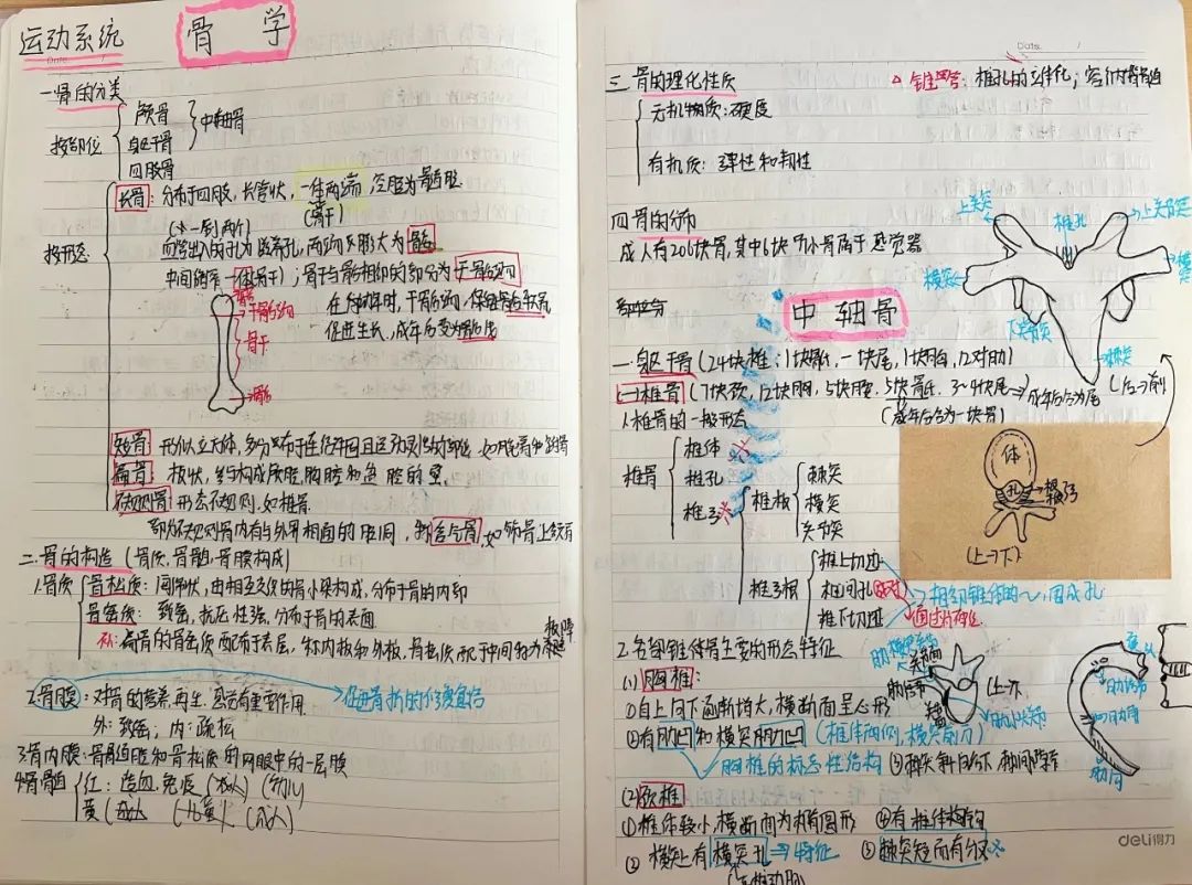 揭秘!医学生的笔记原来还可以这么记!休闲区蓝鸢梦想 - Www.slyday.coM 揭秘!医学生的笔记原来还可以这么记!休闲区蓝鸢梦想 - Www.slyday.coM