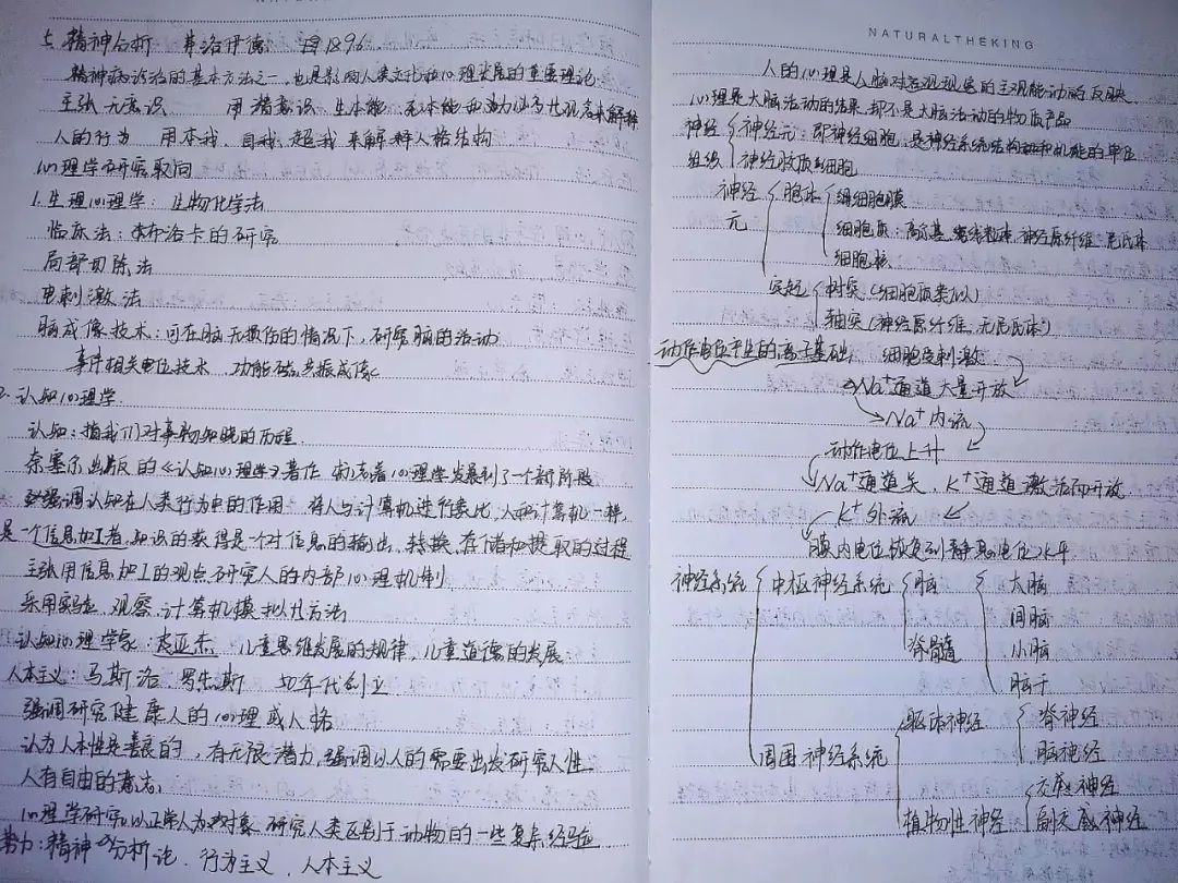 揭秘!医学生的笔记原来还可以这么记!休闲区蓝鸢梦想 - Www.slyday.coM 揭秘!医学生的笔记原来还可以这么记!休闲区蓝鸢梦想 - Www.slyday.coM