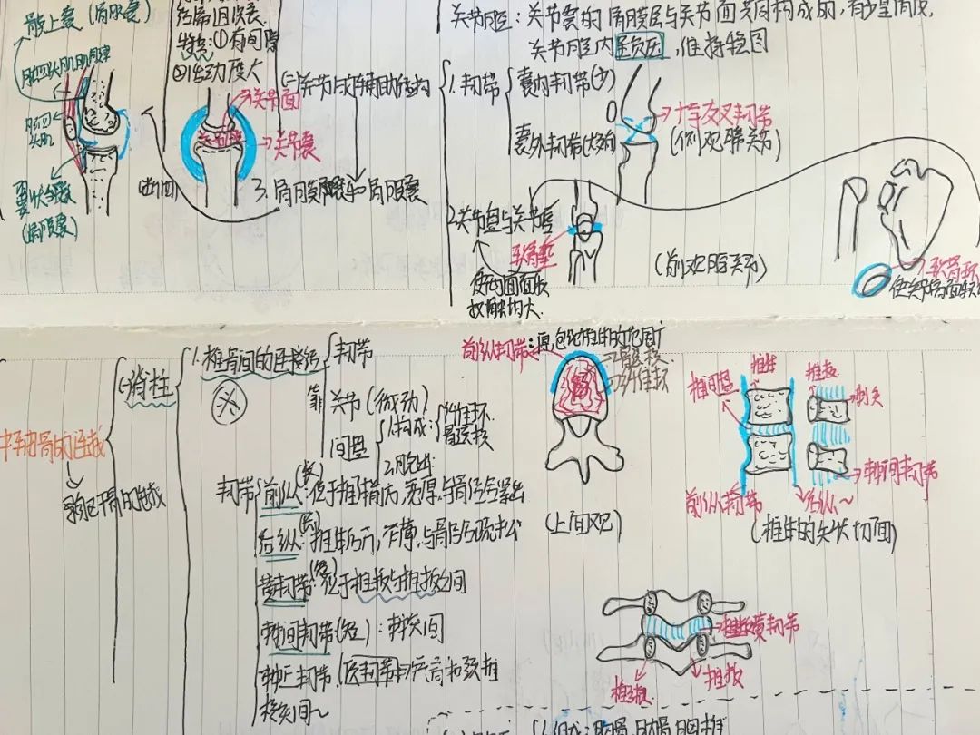 揭秘!医学生的笔记原来还可以这么记!休闲区蓝鸢梦想 - Www.slyday.coM 揭秘!医学生的笔记原来还可以这么记!休闲区蓝鸢梦想 - Www.slyday.coM