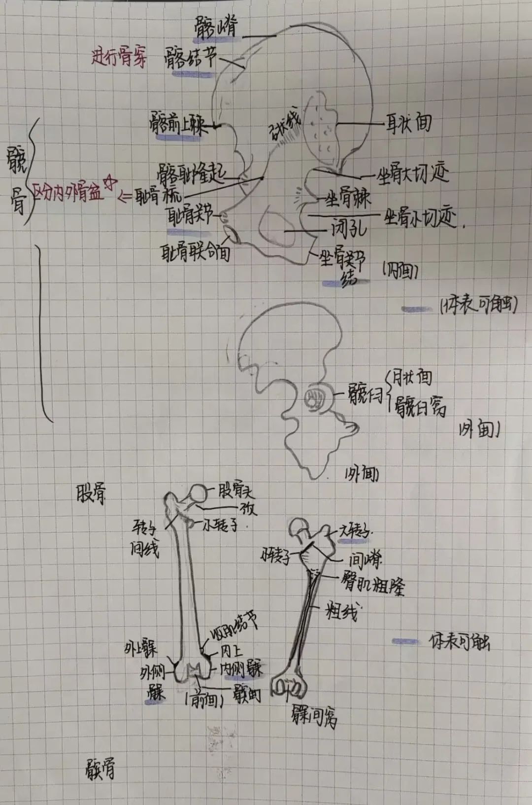 揭秘!医学生的笔记原来还可以这么记!休闲区蓝鸢梦想 - Www.slyday.coM 揭秘!医学生的笔记原来还可以这么记!休闲区蓝鸢梦想 - Www.slyday.coM