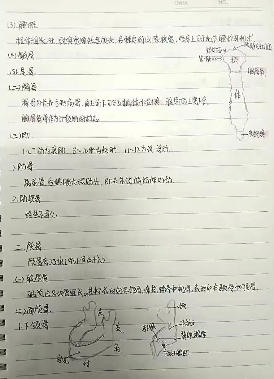 揭秘!医学生的笔记原来还可以这么记!休闲区蓝鸢梦想 - Www.slyday.coM 揭秘!医学生的笔记原来还可以这么记!休闲区蓝鸢梦想 - Www.slyday.coM
