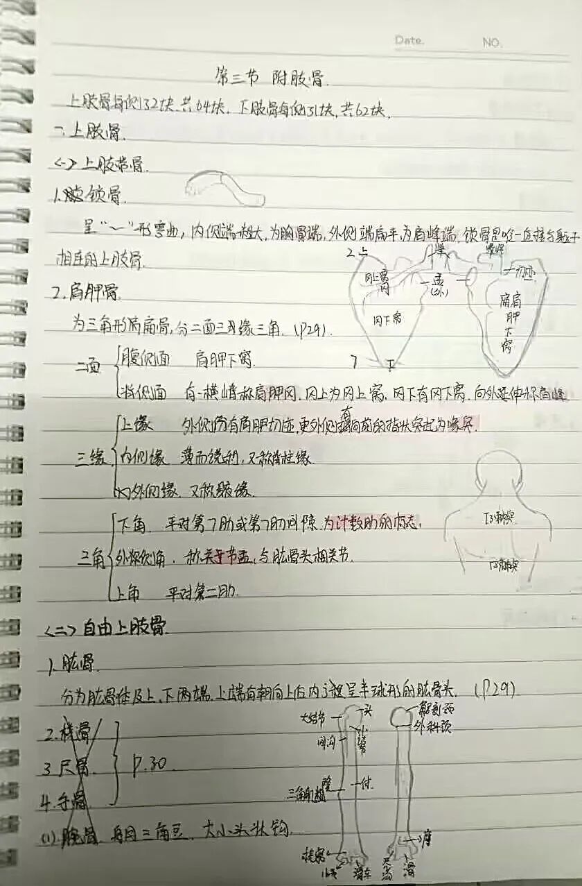 揭秘!医学生的笔记原来还可以这么记!休闲区蓝鸢梦想 - Www.slyday.coM 揭秘!医学生的笔记原来还可以这么记!休闲区蓝鸢梦想 - Www.slyday.coM