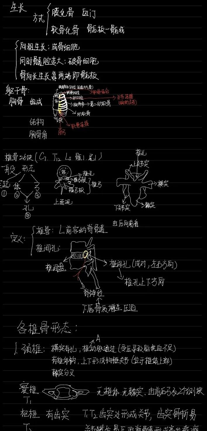 揭秘!医学生的笔记原来还可以这么记!休闲区蓝鸢梦想 - Www.slyday.coM 揭秘!医学生的笔记原来还可以这么记!休闲区蓝鸢梦想 - Www.slyday.coM