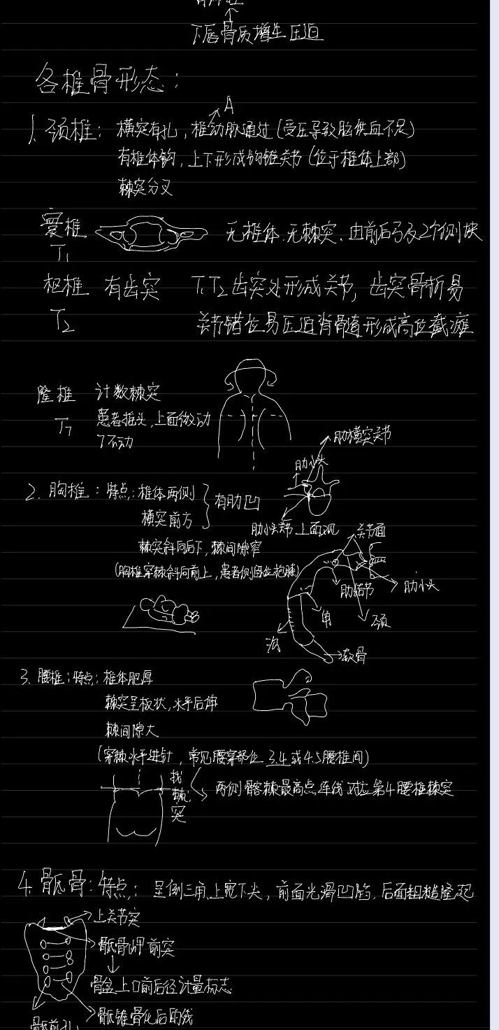 揭秘!医学生的笔记原来还可以这么记!休闲区蓝鸢梦想 - Www.slyday.coM 揭秘!医学生的笔记原来还可以这么记!休闲区蓝鸢梦想 - Www.slyday.coM
