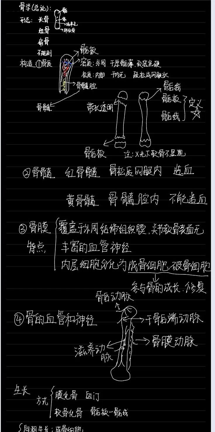 揭秘!医学生的笔记原来还可以这么记!休闲区蓝鸢梦想 - Www.slyday.coM 揭秘!医学生的笔记原来还可以这么记!休闲区蓝鸢梦想 - Www.slyday.coM