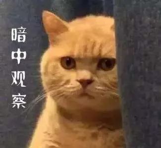 揭秘!医学生的笔记原来还可以这么记!休闲区蓝鸢梦想 - Www.slyday.coM 揭秘!医学生的笔记原来还可以这么记!休闲区蓝鸢梦想 - Www.slyday.coM